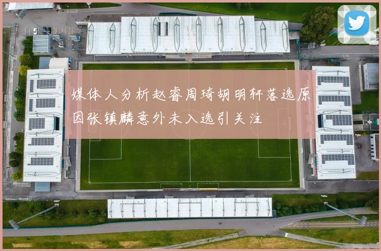 媒体人分析赵睿周琦胡明轩落选原因张镇麟意外未入选引关注